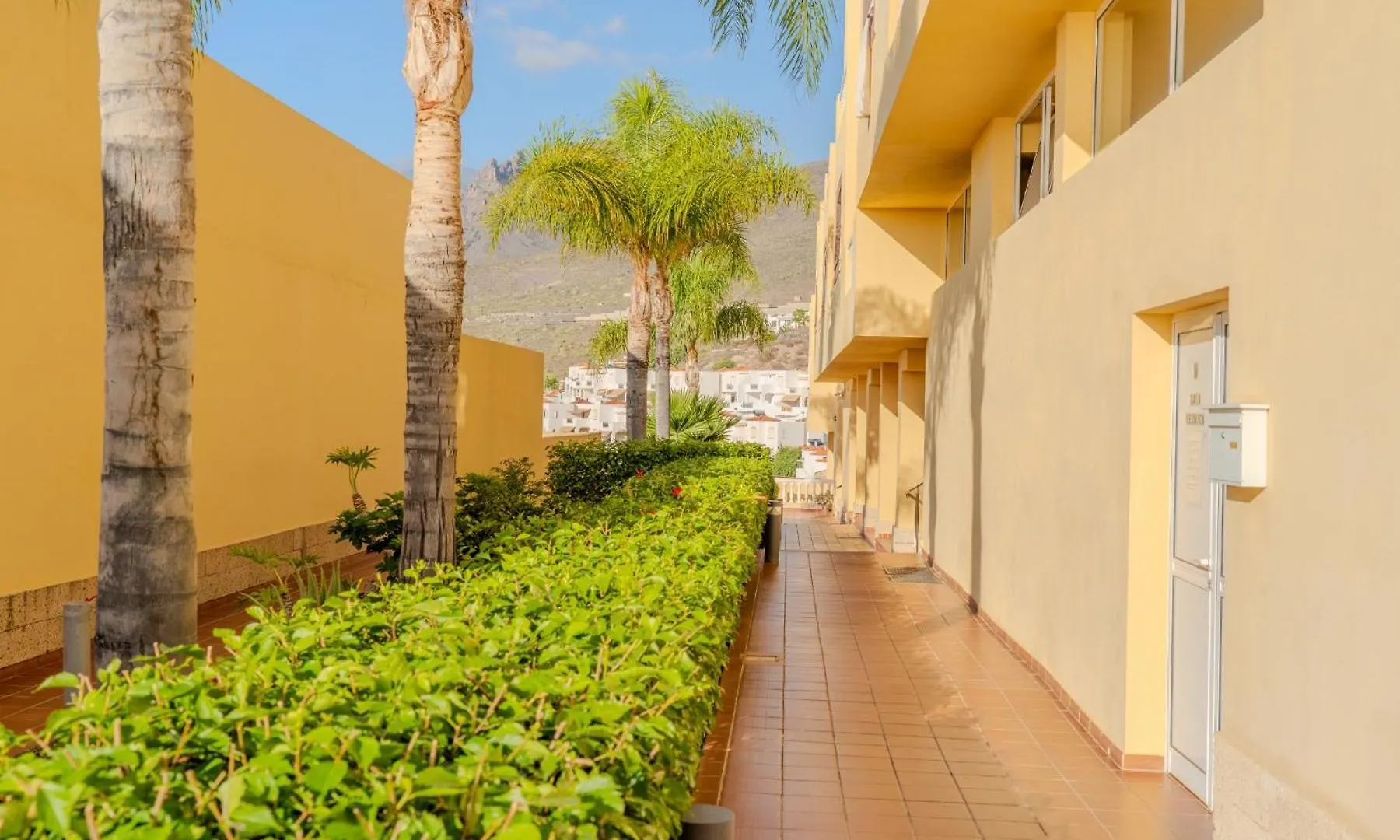Penthouse With Ocean Views - Torviscas Apartment Costa Adeje  0*, Costa Adeje (Tenerife) Spain